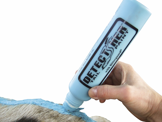100105 DetectHerTailPaint_blaa.jpg