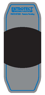 101035 Blue_patch(2018).jpg