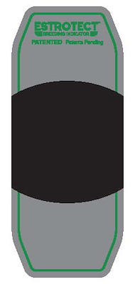 101035 Green_patch(2018).jpg