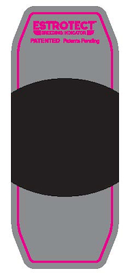 101035 Pink_patch(2018).jpg