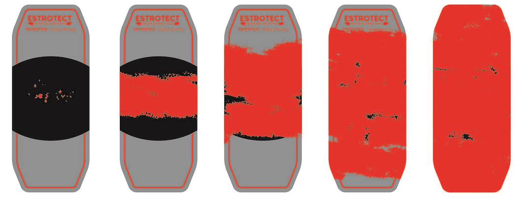 101035 progression.jpg