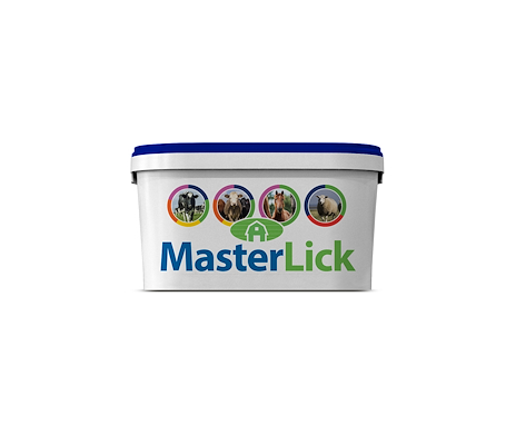 101790 MasterLick high mag.jpg