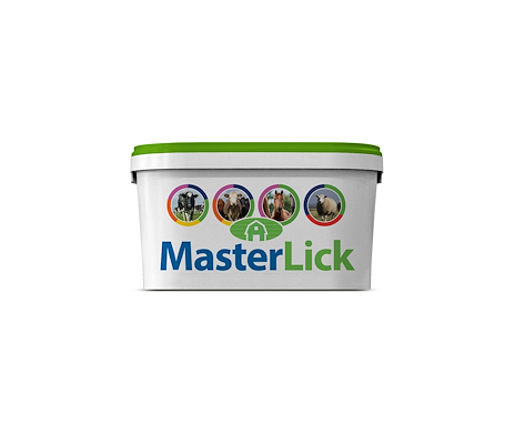 101793 MasterLick summer garlic nature.jpg