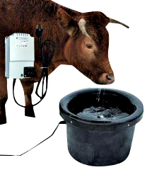 Vattenbalja frostfritt