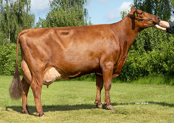 4102904544 Jakob Gade_Skals VR Froberg mor til VR Vesty 38290.jpg