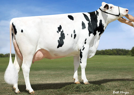 6 Dam Larcrest Carlin-ET (2) (1).jpg