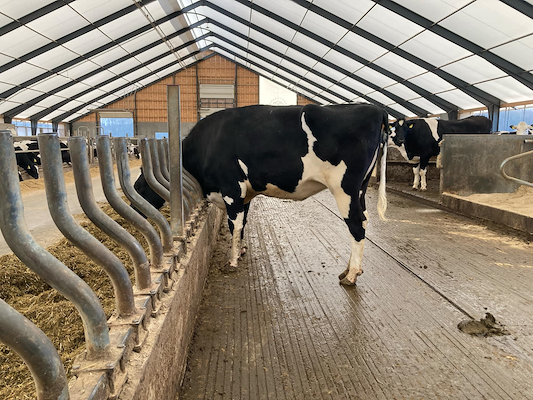 VH Mads p mor, Mona Lisa.jpeg