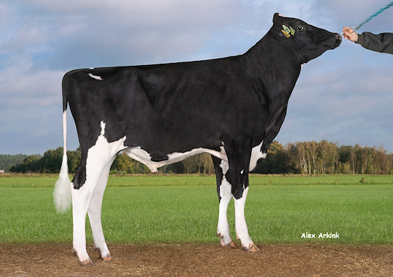 VH Padel (VH Putur).jpg