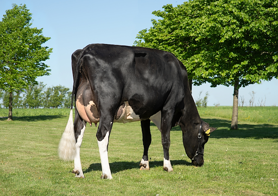 VH Seo PRC daughter.jpg