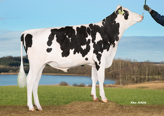 VH Spook P (VH Swish).jpg