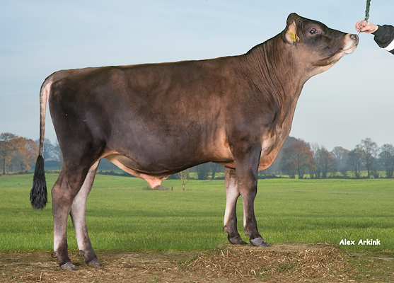 VJ Gator (VJ Gates).jpg