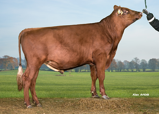 VR Foredal (VR Fabu).jpg