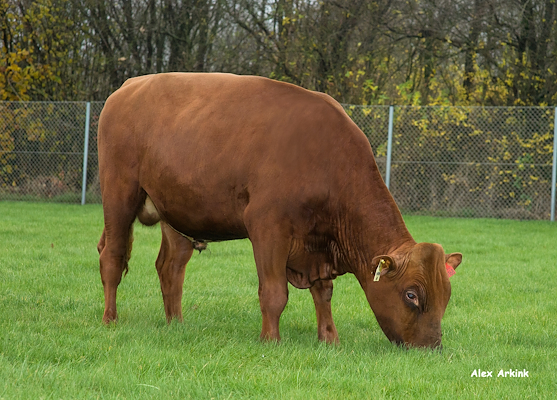 VR Foredal (VR Fabu) - scenic.jpg